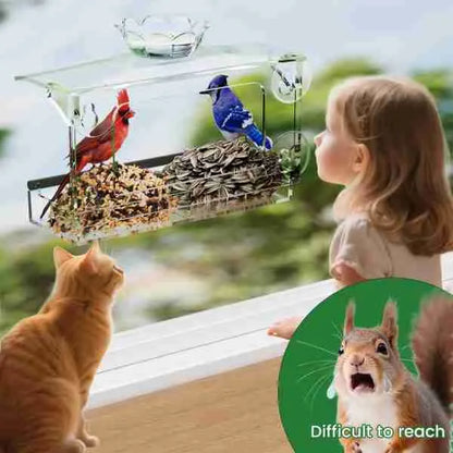 Window Bird Feeder – Clear Acrylic with Strong Suction Cups
