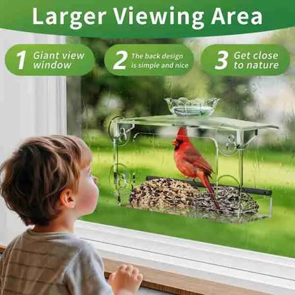 Window Bird Feeder – Clear Acrylic with Strong Suction Cups