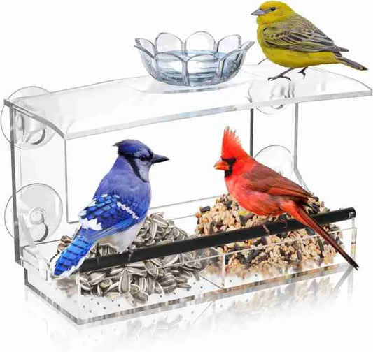 Window Bird Feeder – Clear Acrylic with Strong Suction Cups