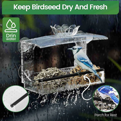 Window Bird Feeder – Clear Acrylic with Strong Suction Cups